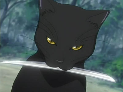 Bleach Yoruichi Cat